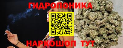 прущие грибы Чебаркуль