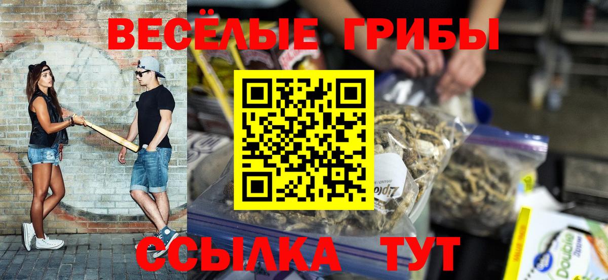 Галлюциногенные грибы GOLDEN TEACHER Клин