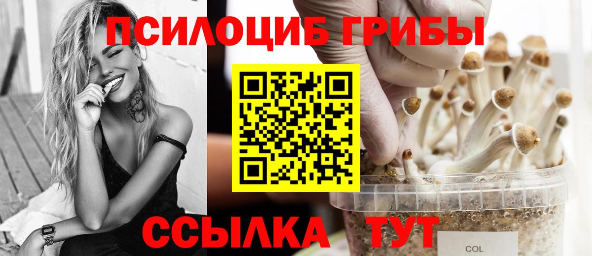 Галлюциногенные грибы Magic Shrooms  Вход с VPN  Клин 